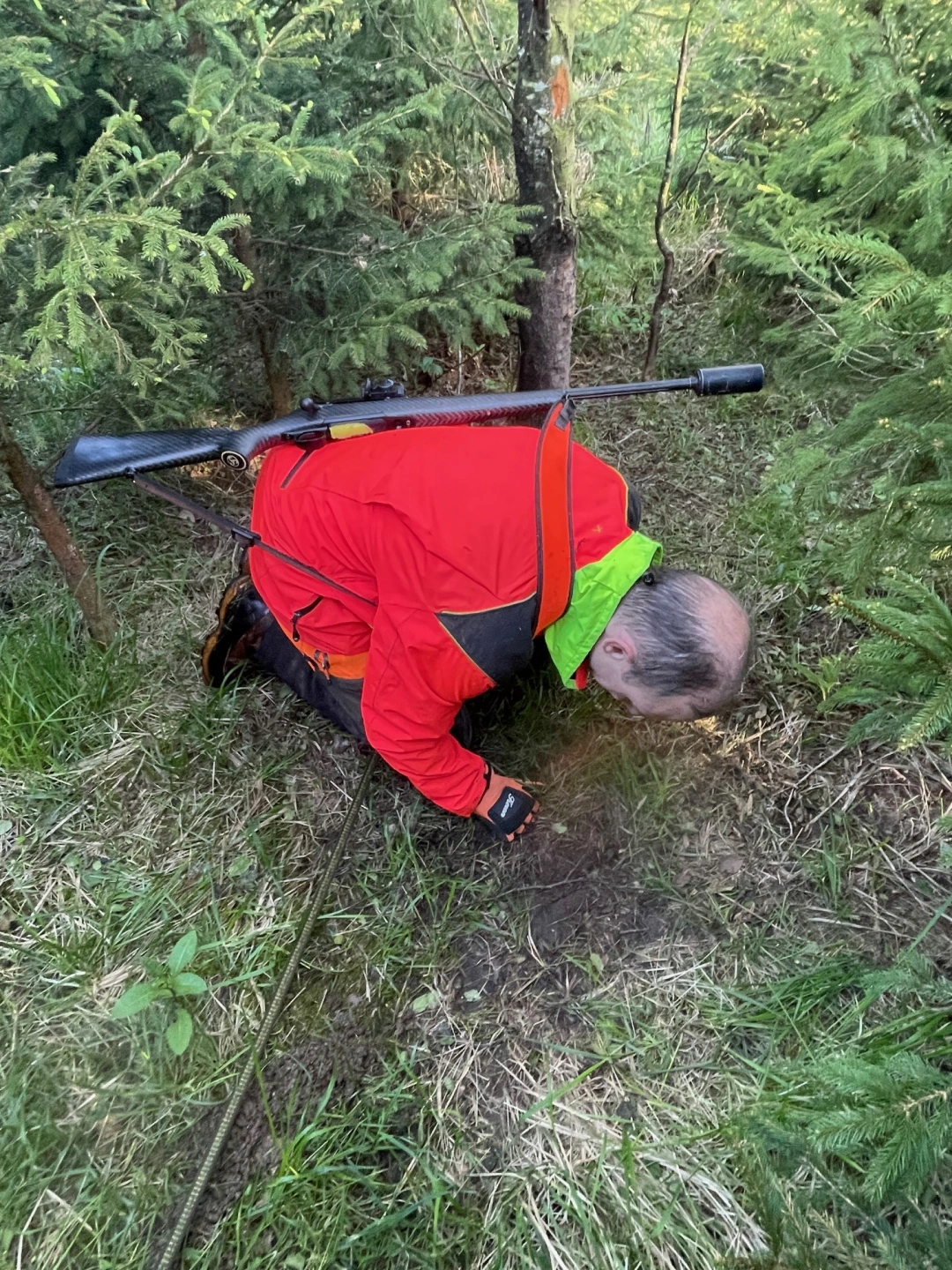Eifeld German Tracking with Bavarian Mountain Dog 3.jpg