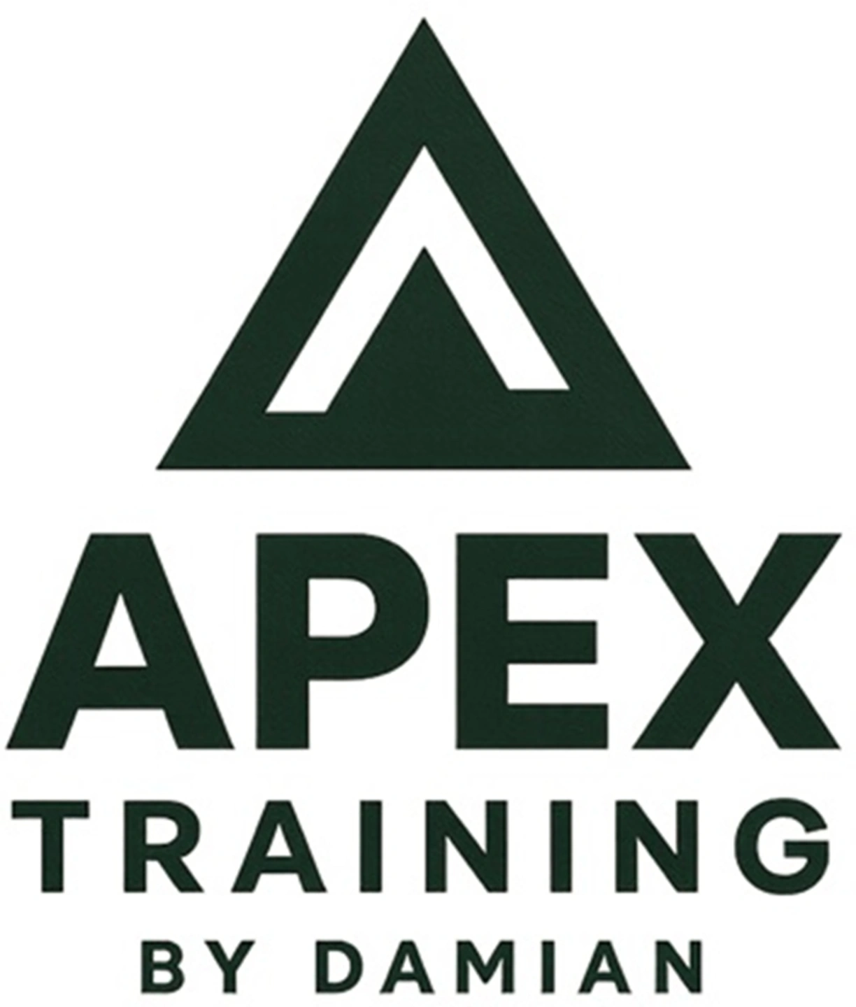 Apex Training by Damian