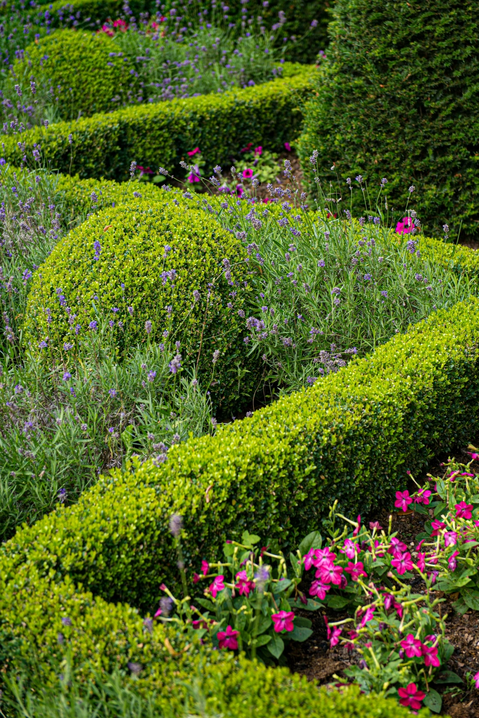 Hedging & Pruning.jpg