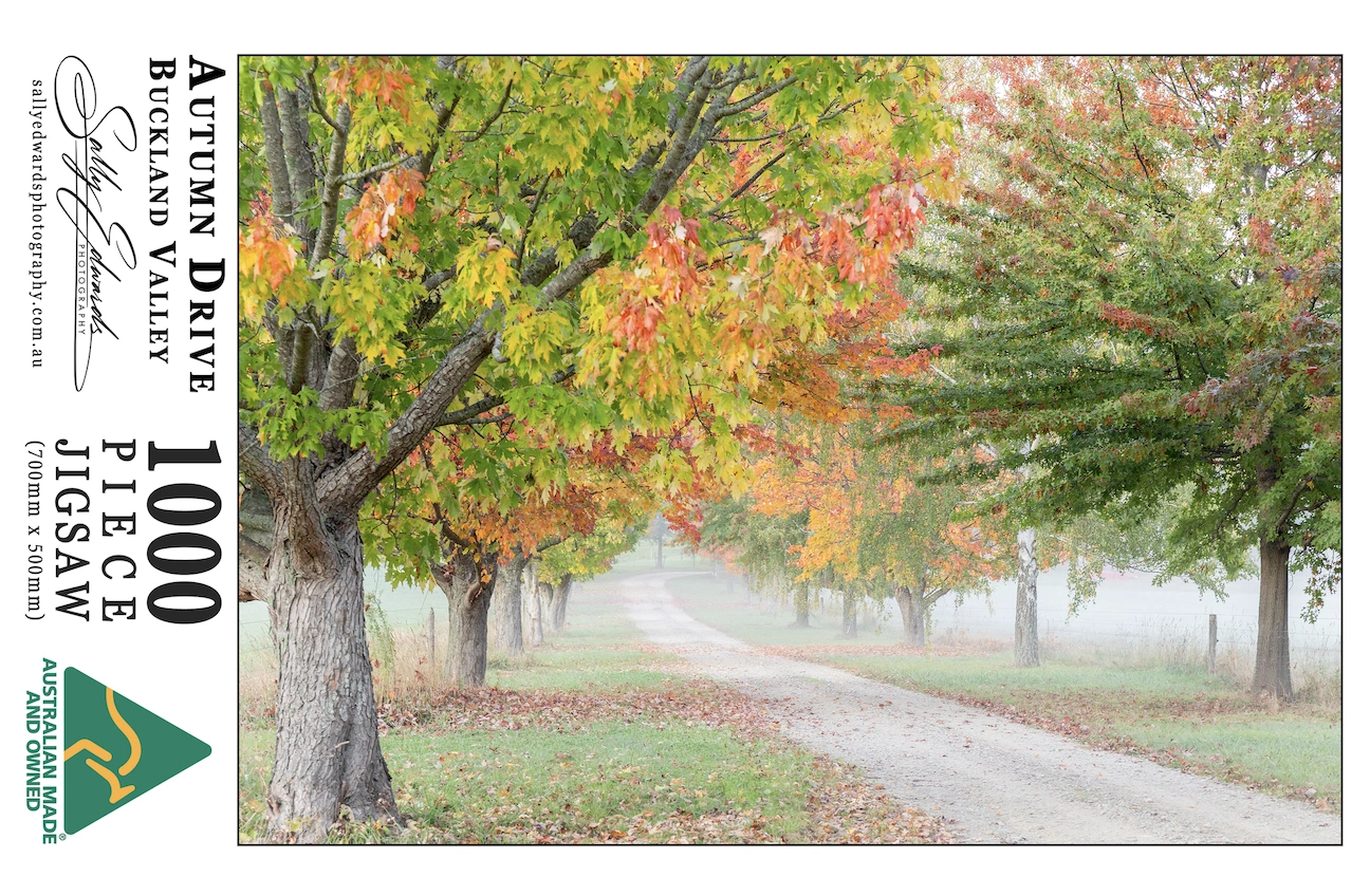 PuzzleBoxLabel - Autumn Drive.png