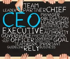 CEO Role.jpg