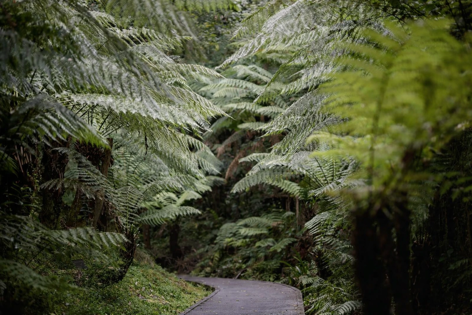 ChatGPT Image Feb 28, 2026, 09_17_12 AM.png