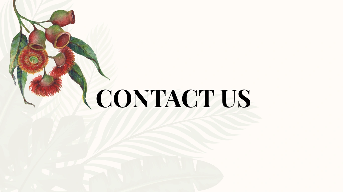 Contact.png