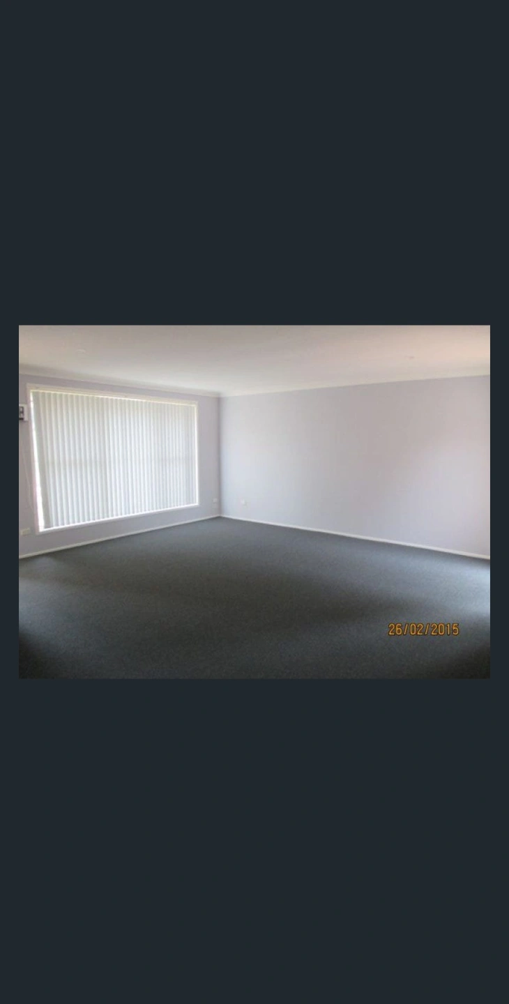 image3.jpg