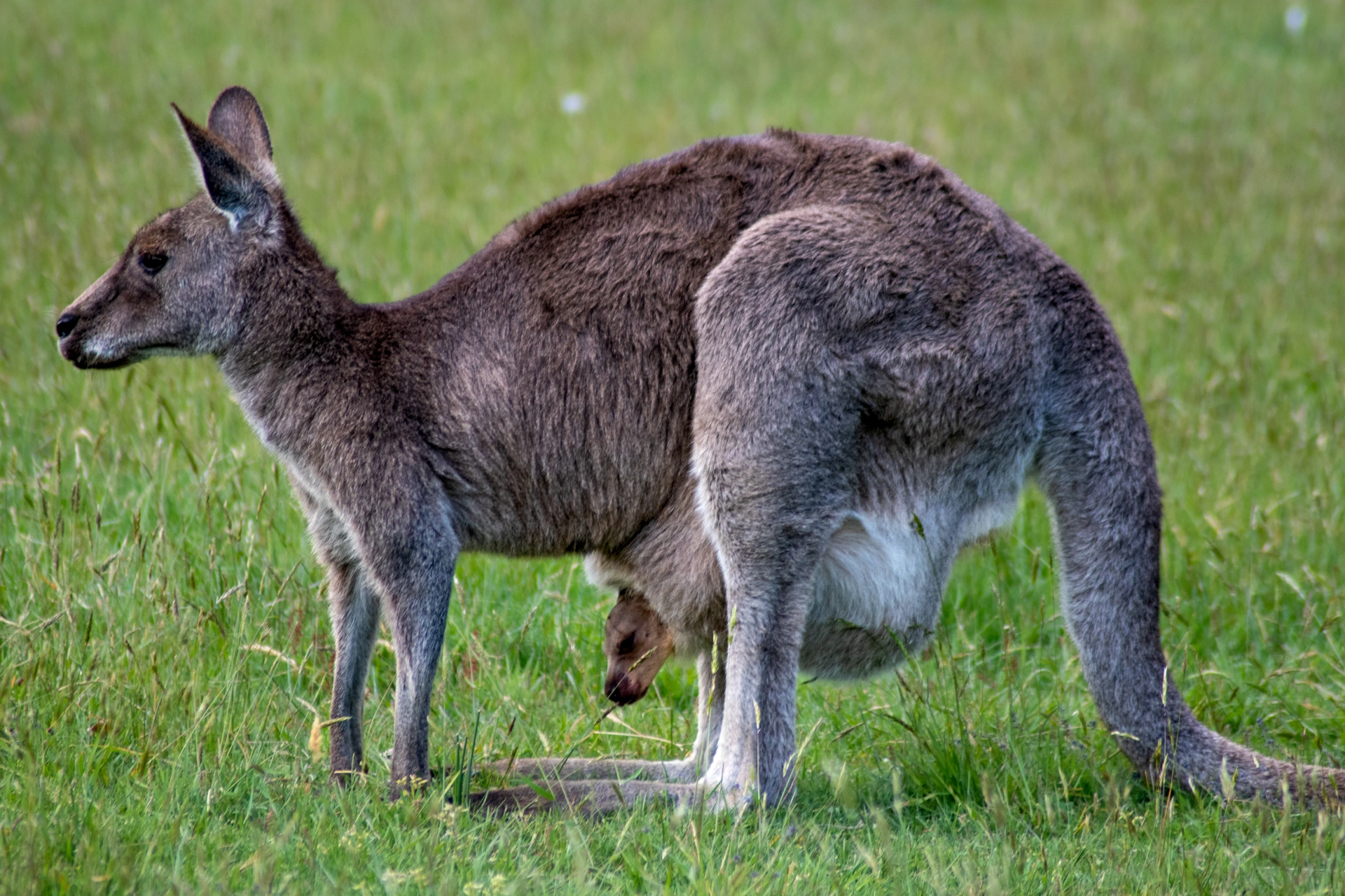 DSC_1027.jpg