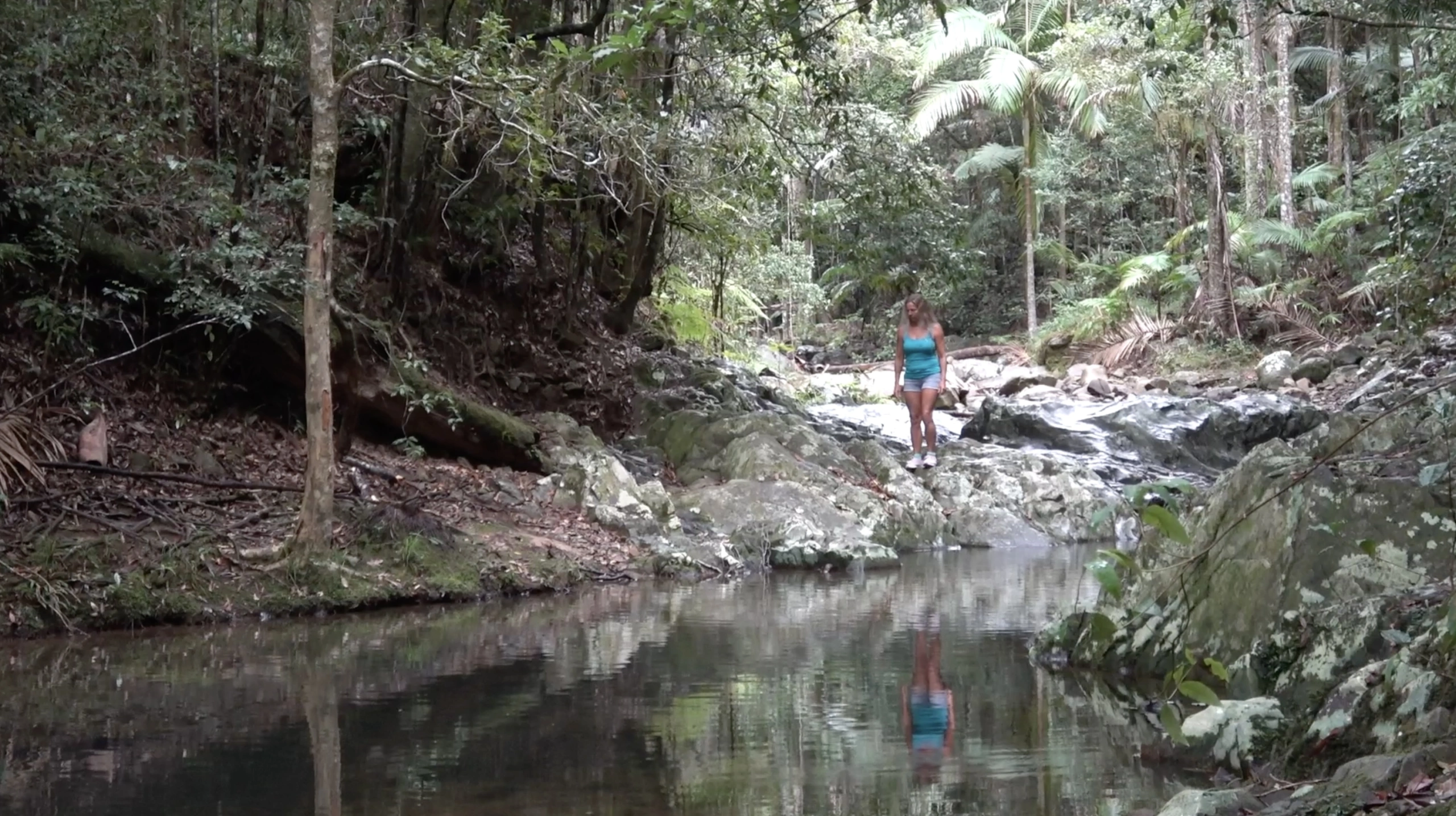 Lin in lush rainforests.jpg