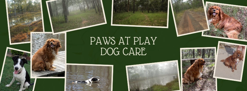 Green and Cream Vintage Photo Collage Daily Motivation Quote Facebook Cover (1).png