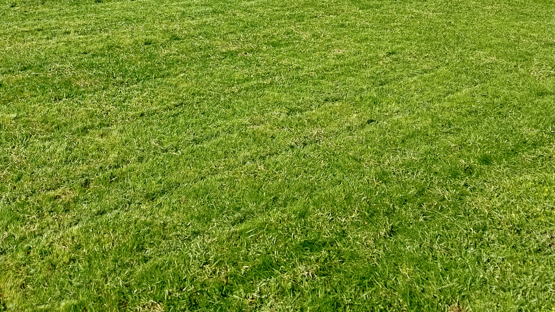 Cover Photo(1).png