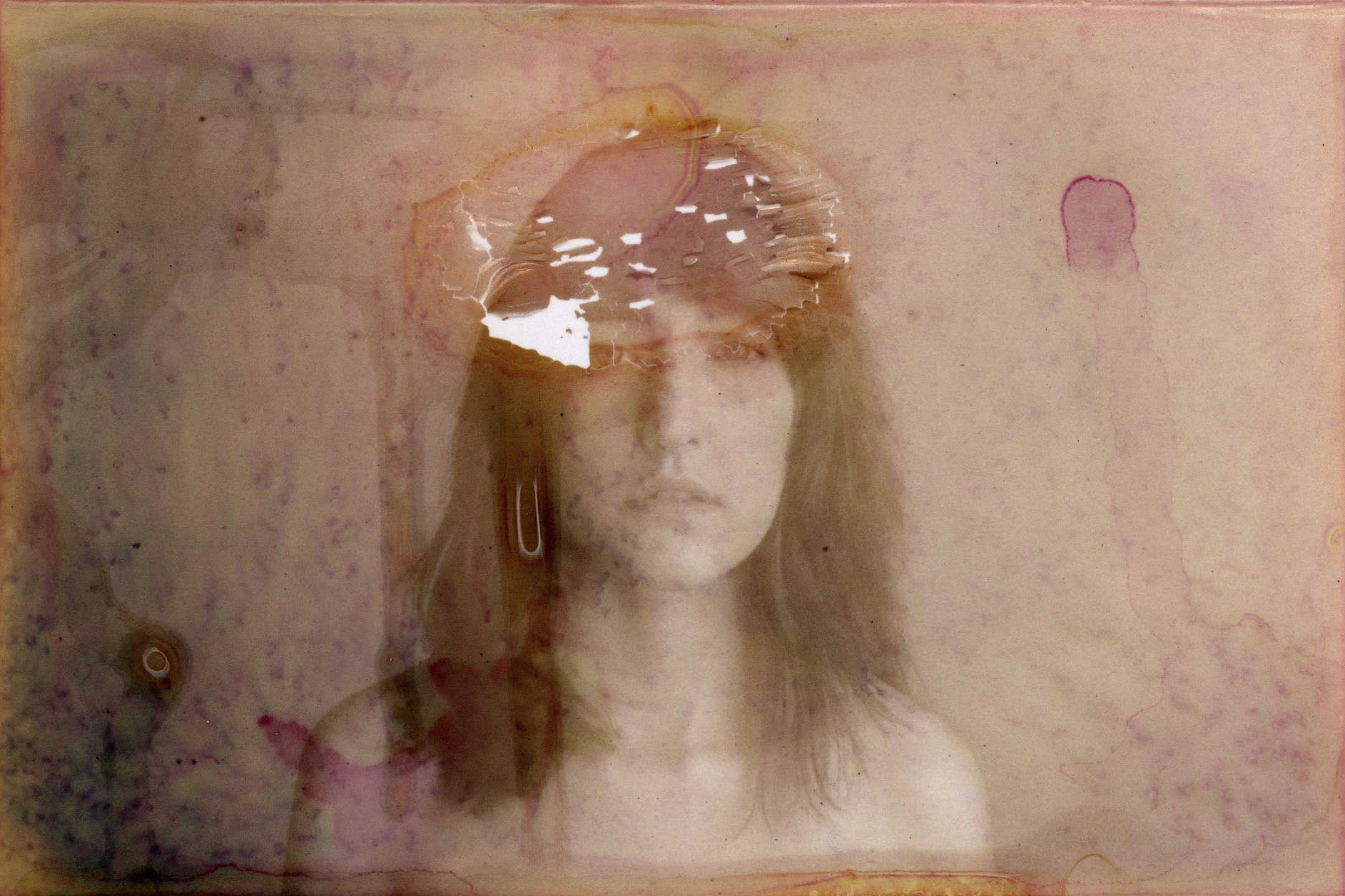 sara-fields-diminution-185-copy1.jpg