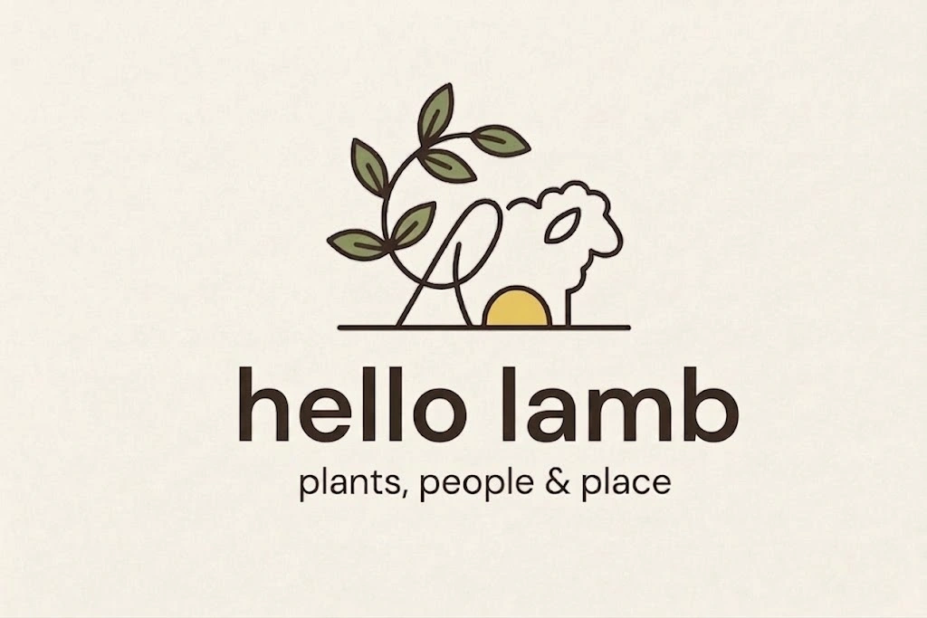 hello lamb logo.jpeg