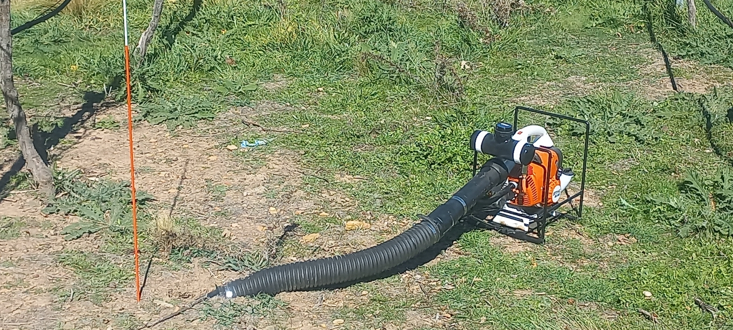 20260417_123124.jpg