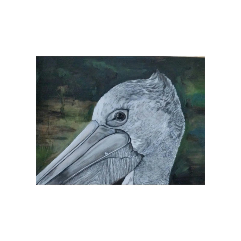 pelican 2.jpg