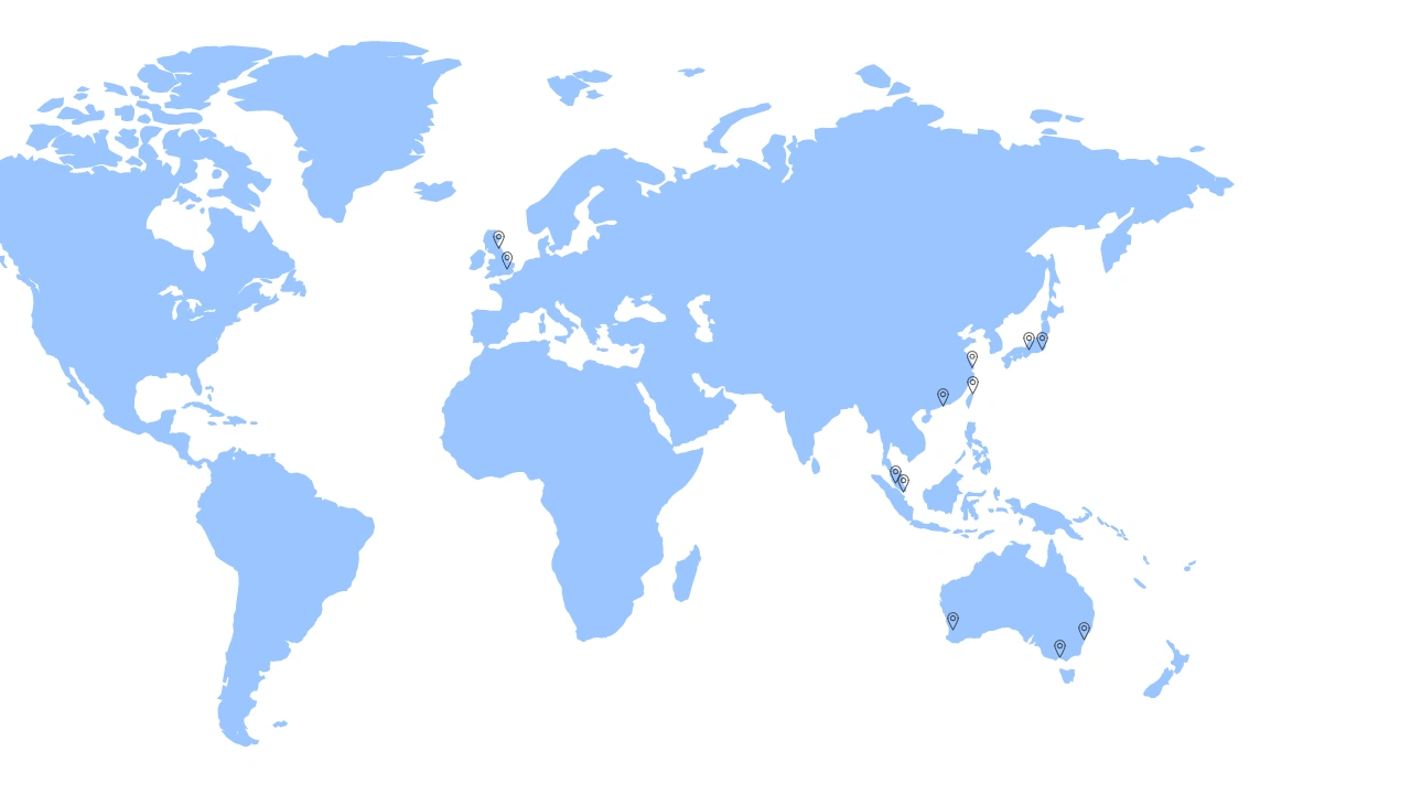 global project experience.png