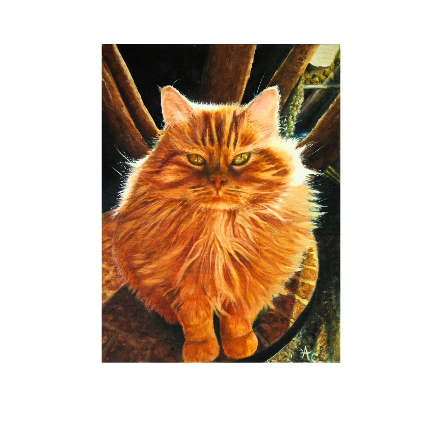 Fluffsster full image.png