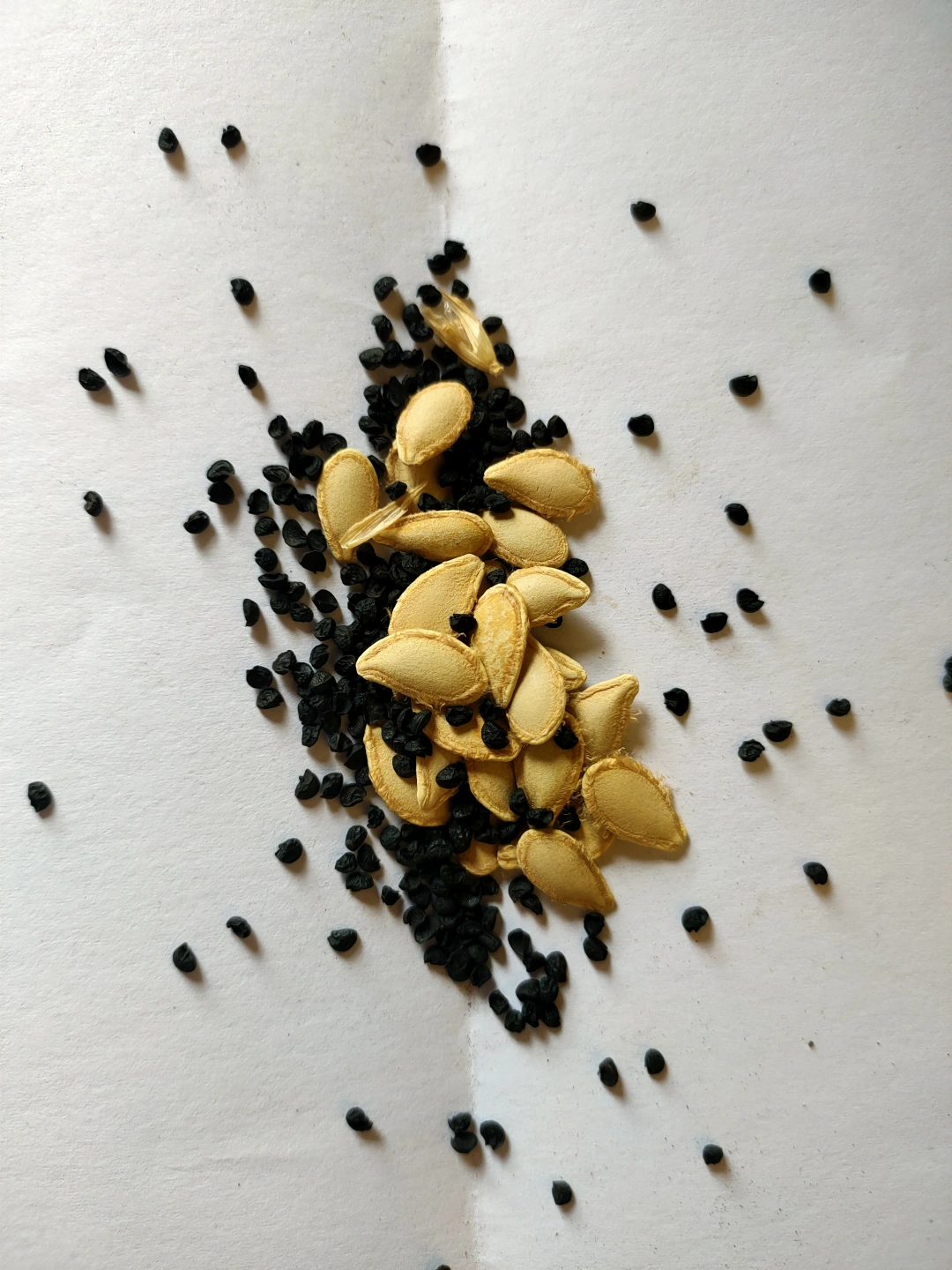 IMG20230830100510.jpg
