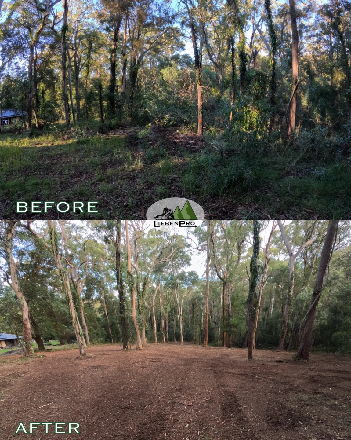 Before:After 1 - LiebenPro.JPG