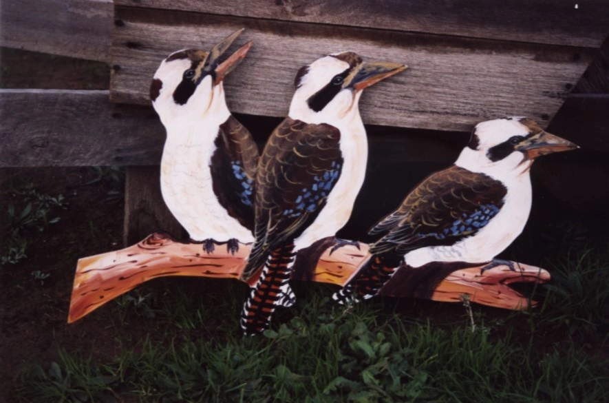 Kookaburras (3).jpeg