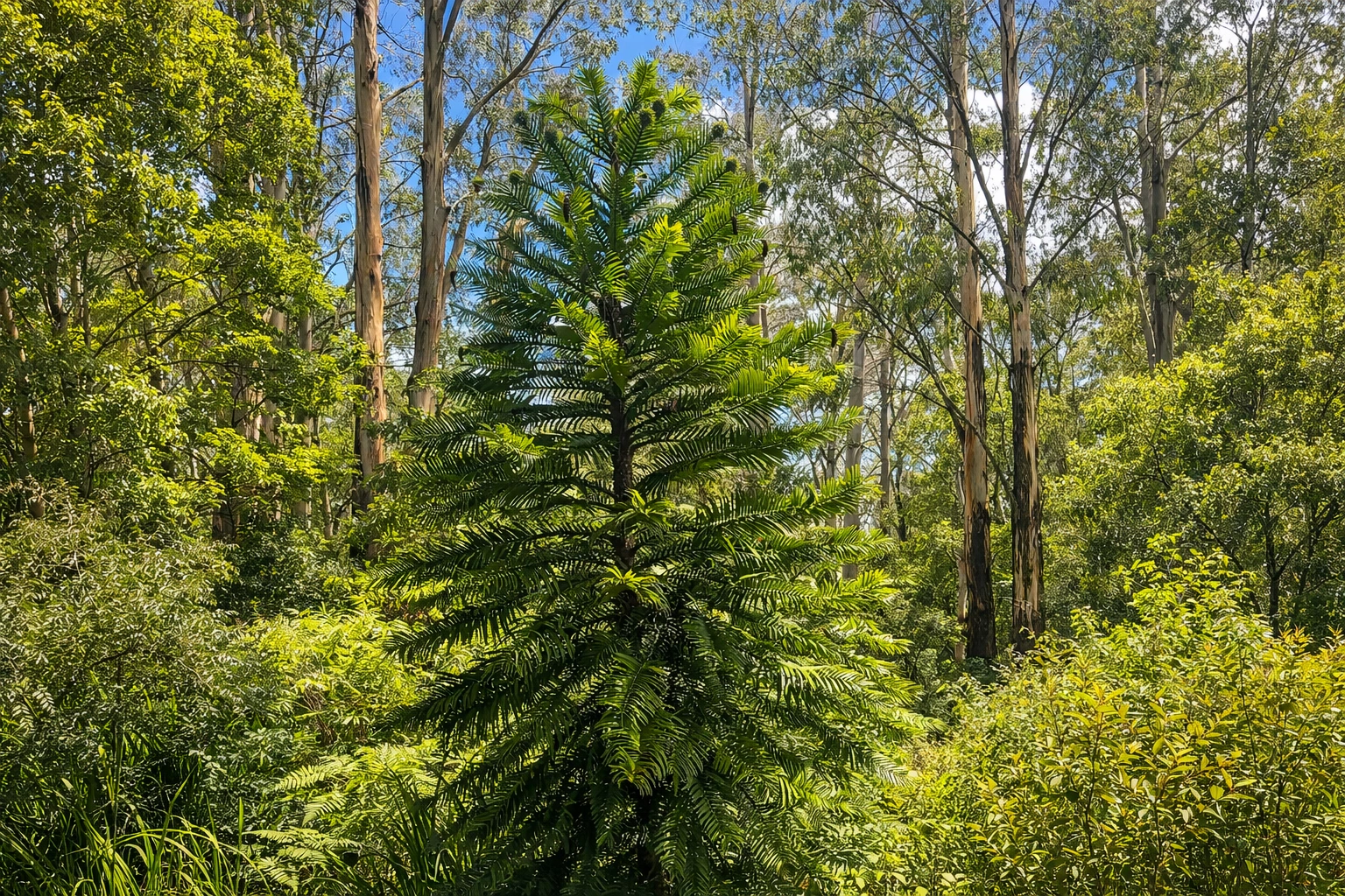 ChatGPT Image Mar 8, 2026, 07_31_56 AM.png