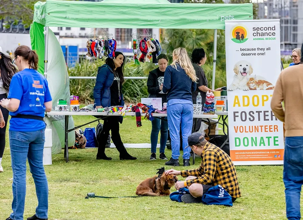 Yarra_s Edge Magazine - Walk For Pet Wellness 2025-133.webp