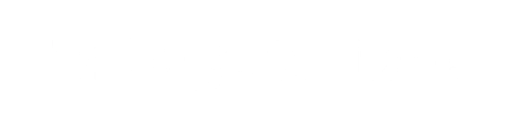 Village Guitar