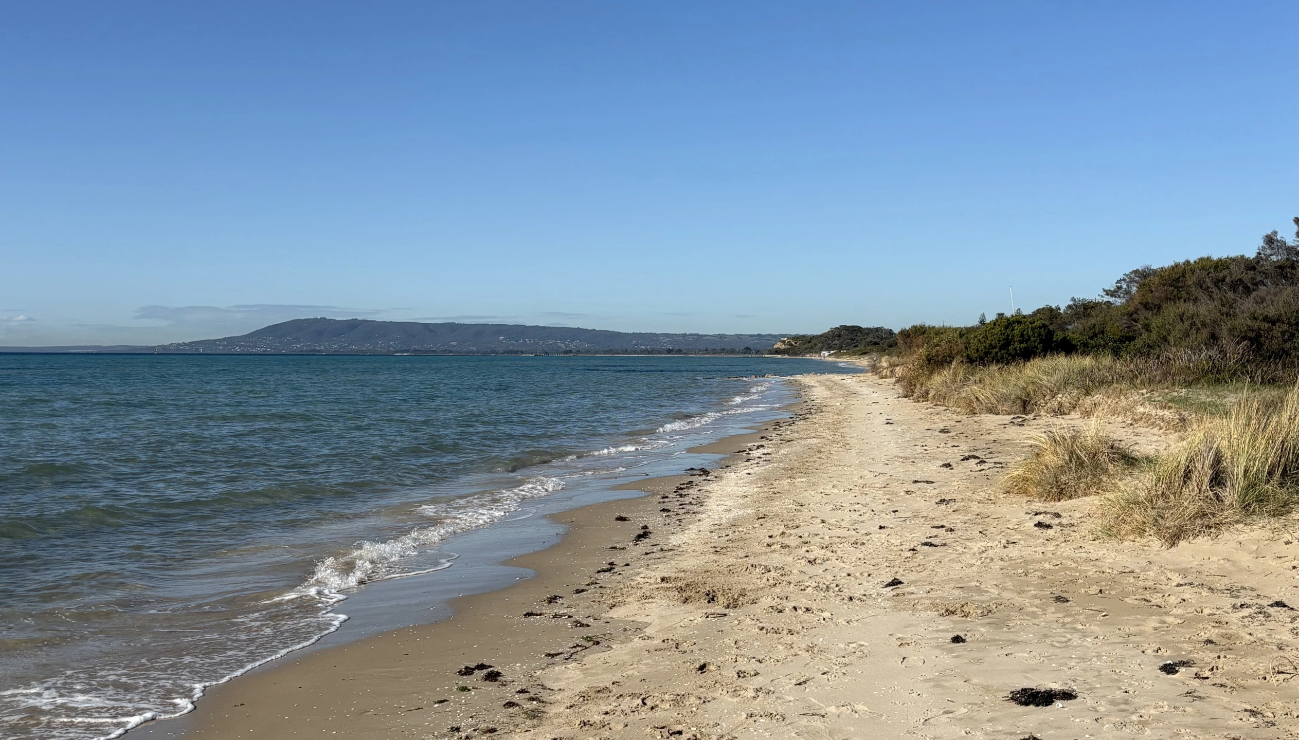 Tyrone Beach Picture.jpeg
