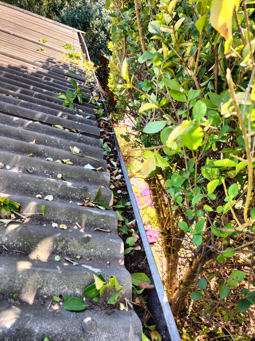 Gutter cleaning pic 3.jpg