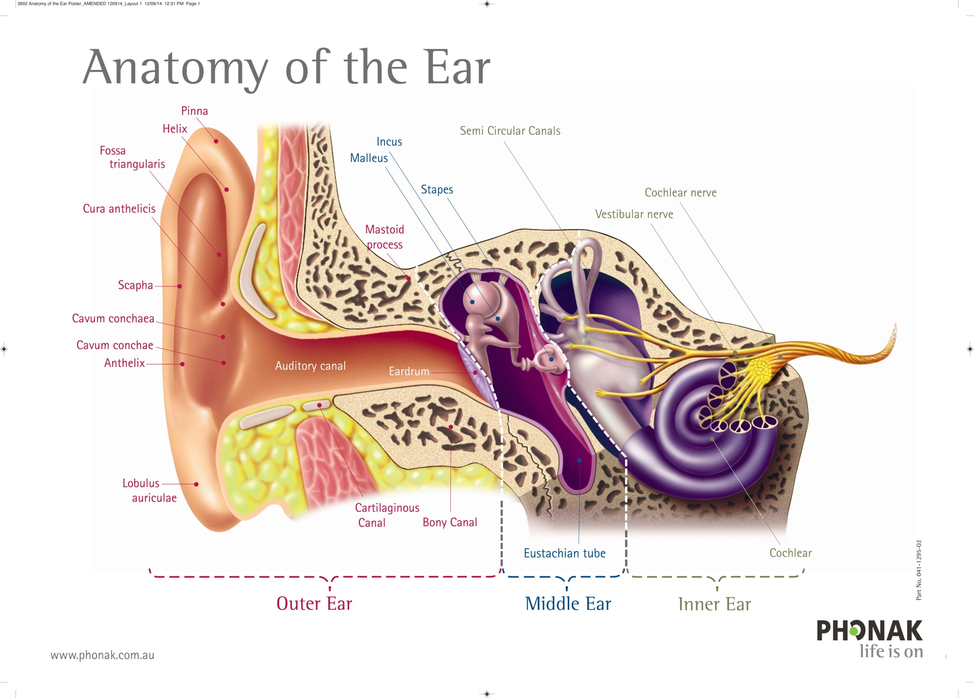 Ear Wax-Vertigo-Capalaba-Redlands .jpg