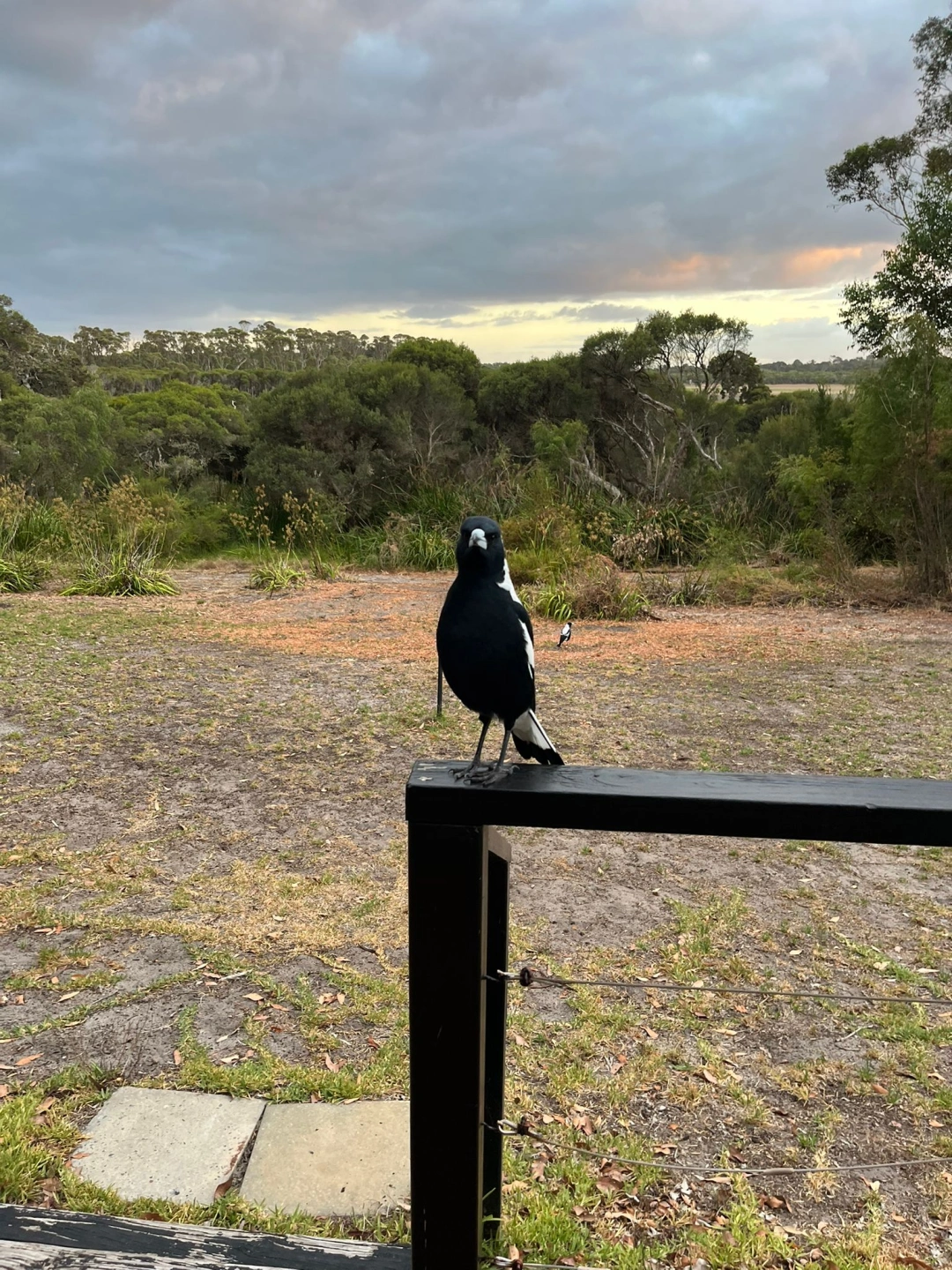 WhatsApp Image 2026-03-04 at 2.56.51 PM (1) (1).jpeg