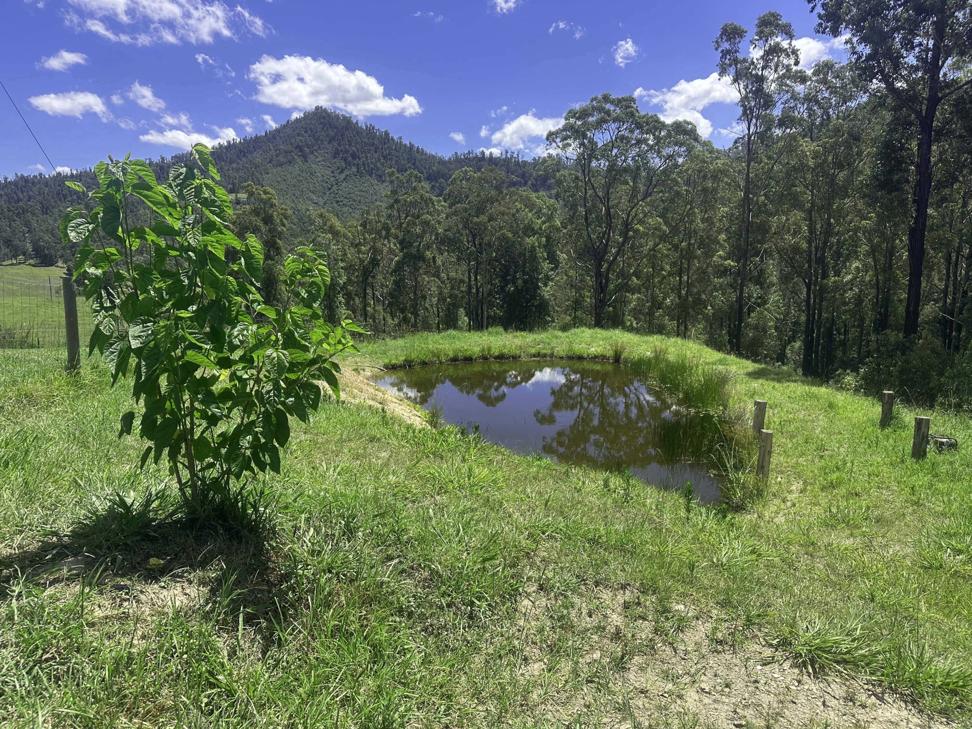 Bowraville bulldozing_Dam_home_01 copy.jpg