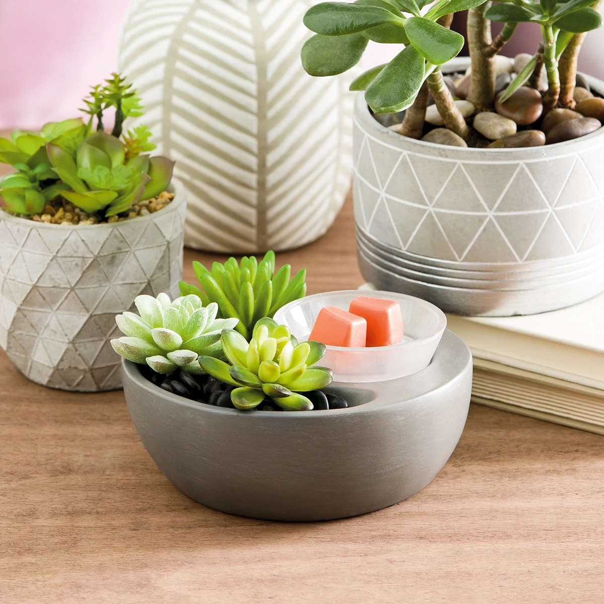 1200x1200HOMEWarmerLIttleGardenRA58d27ceb8bb54004a89d1d9a4bba7161_highres.webp