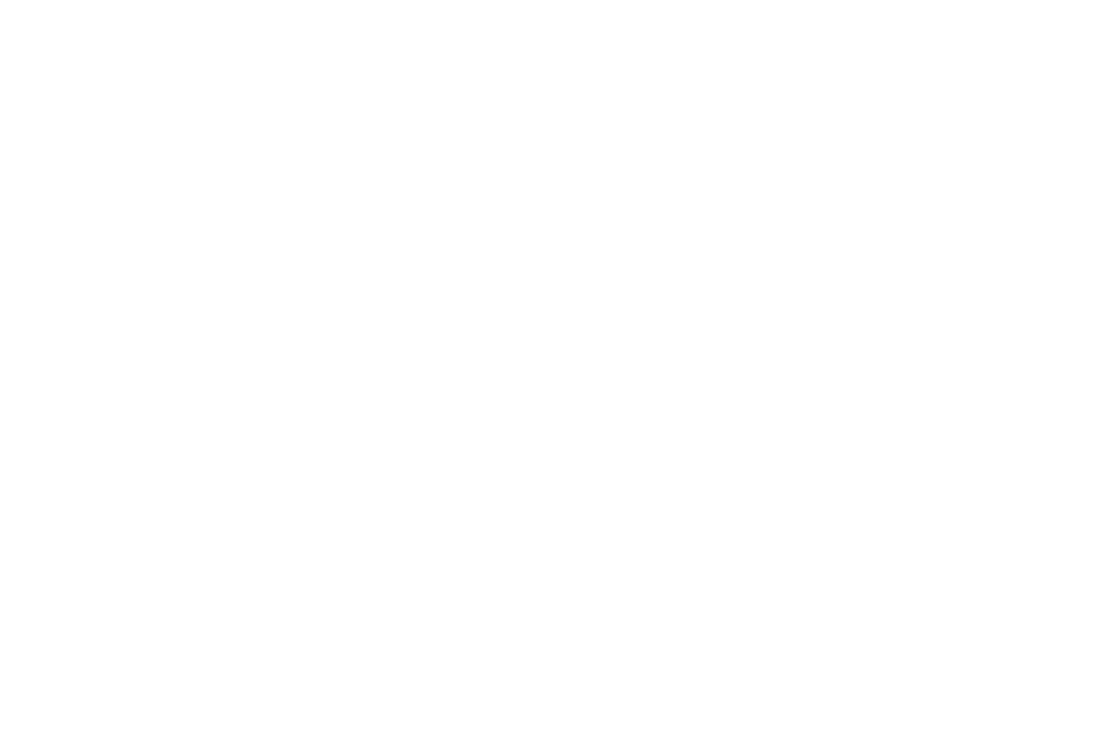 WRAP VAULT