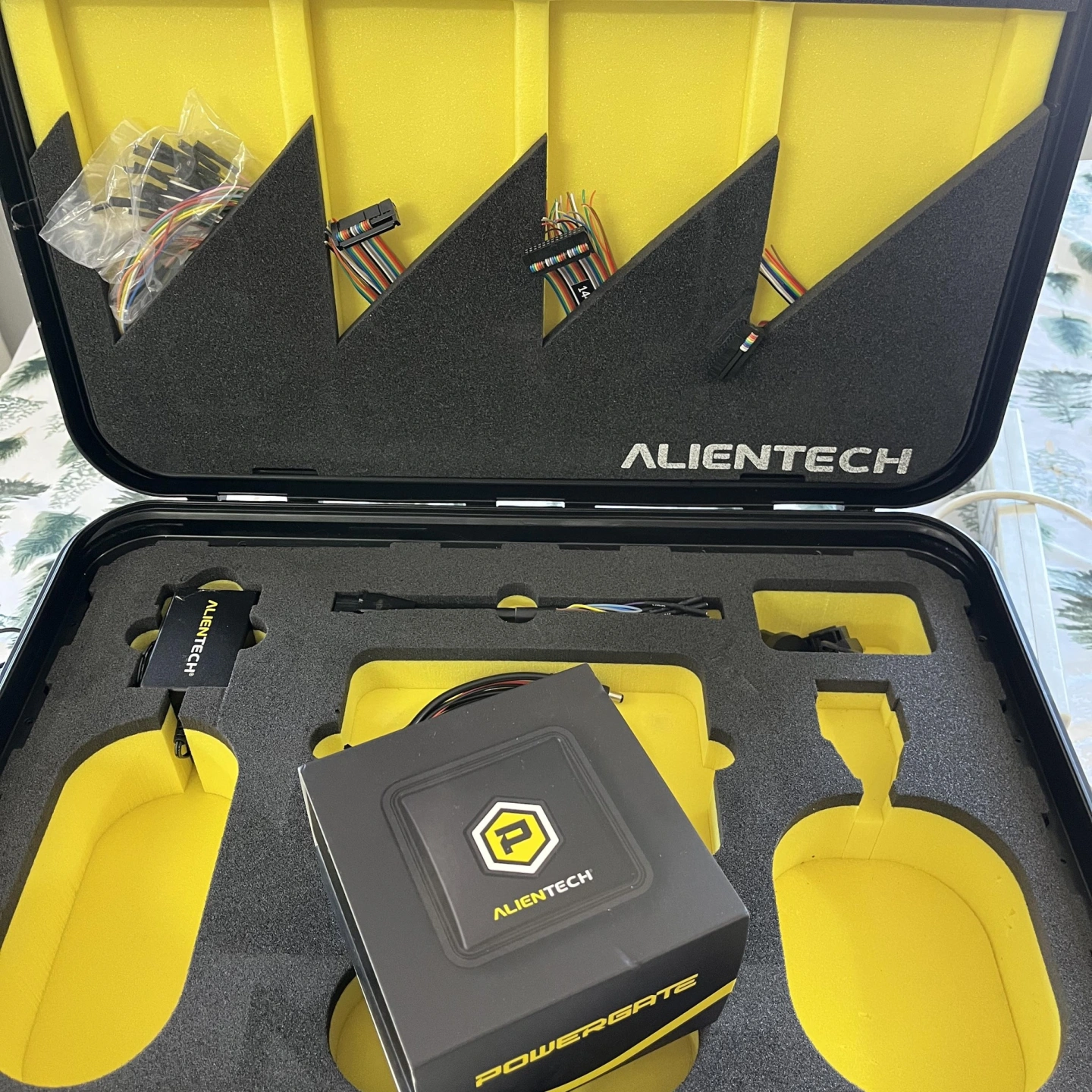 kess and powergate 1.jpg