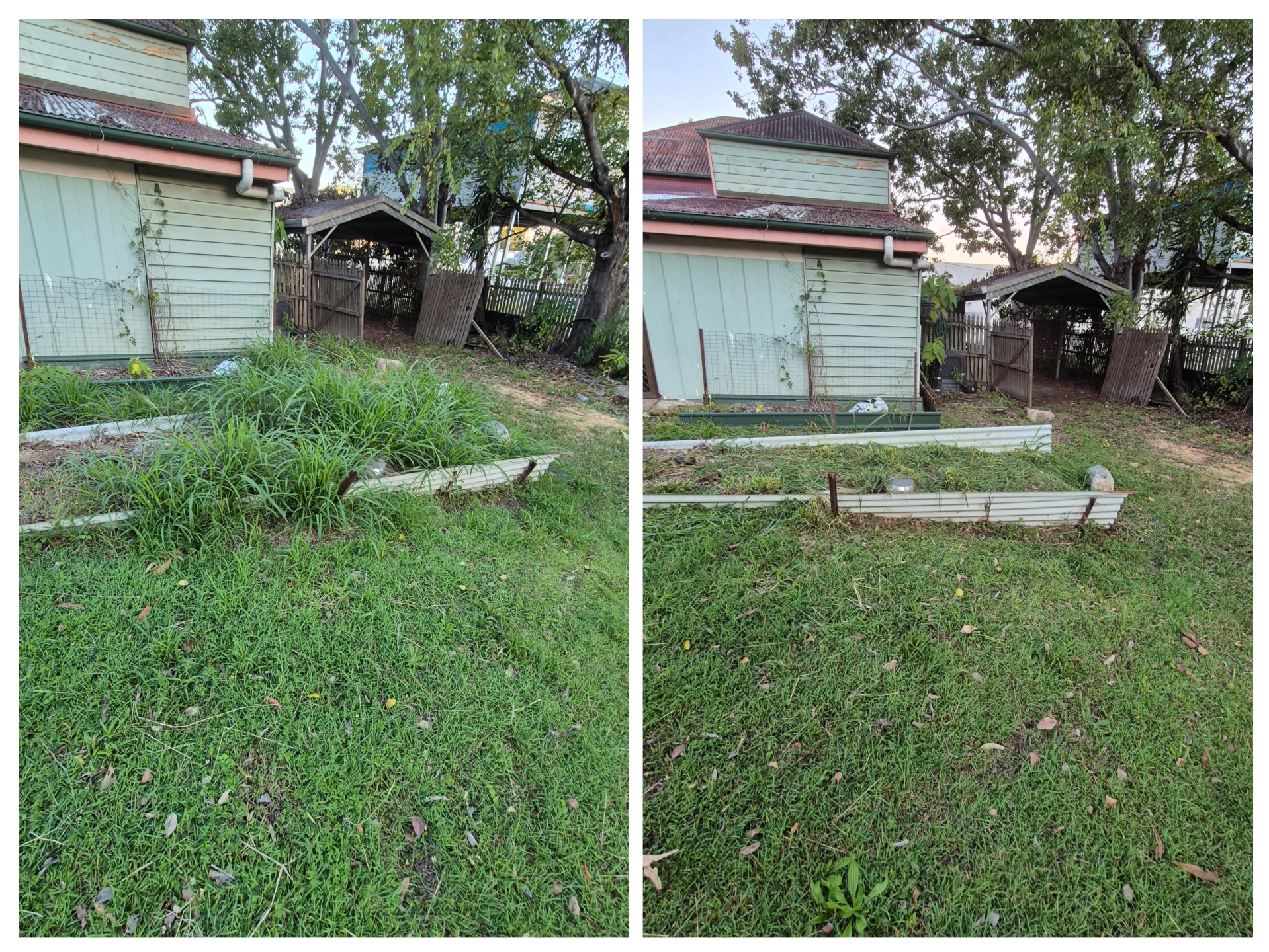 20260612_170001-COLLAGE.jpg