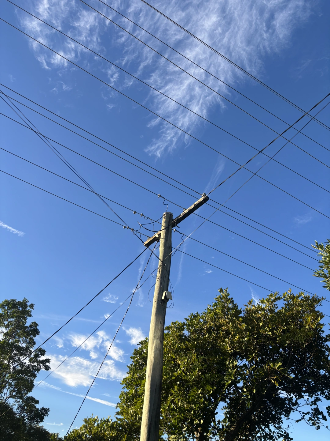 IMG_0508.jpeg