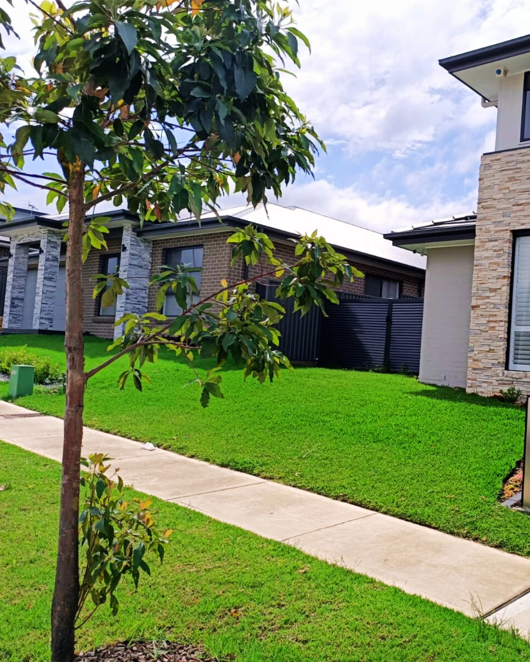 Untitled design (10).png