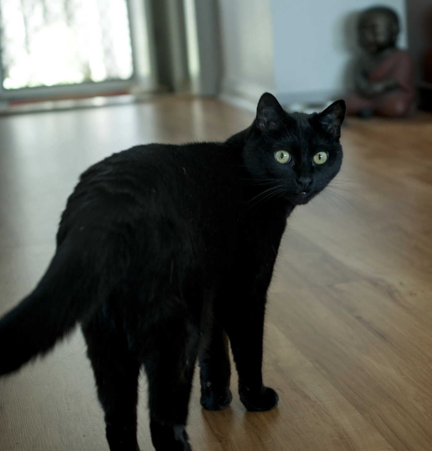 salem-1.jpg