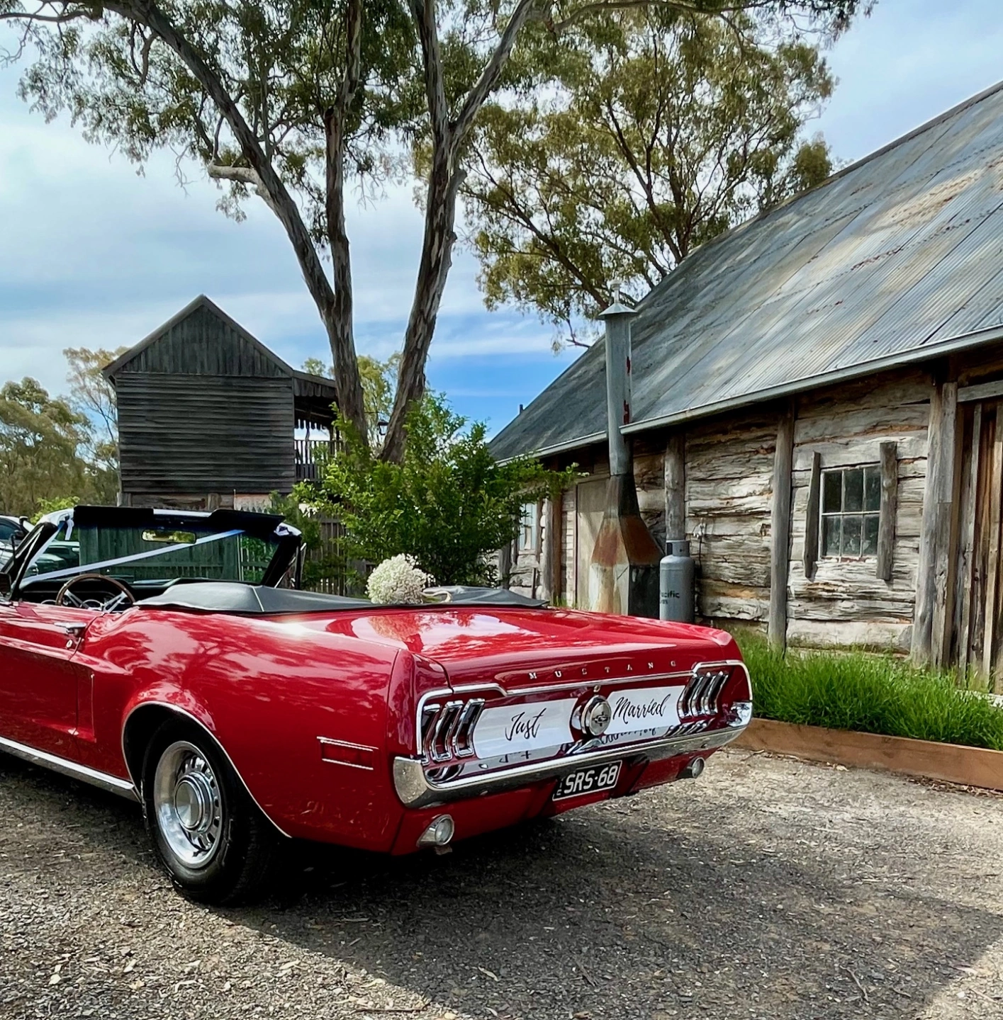 Wedding 261024 3.jpg