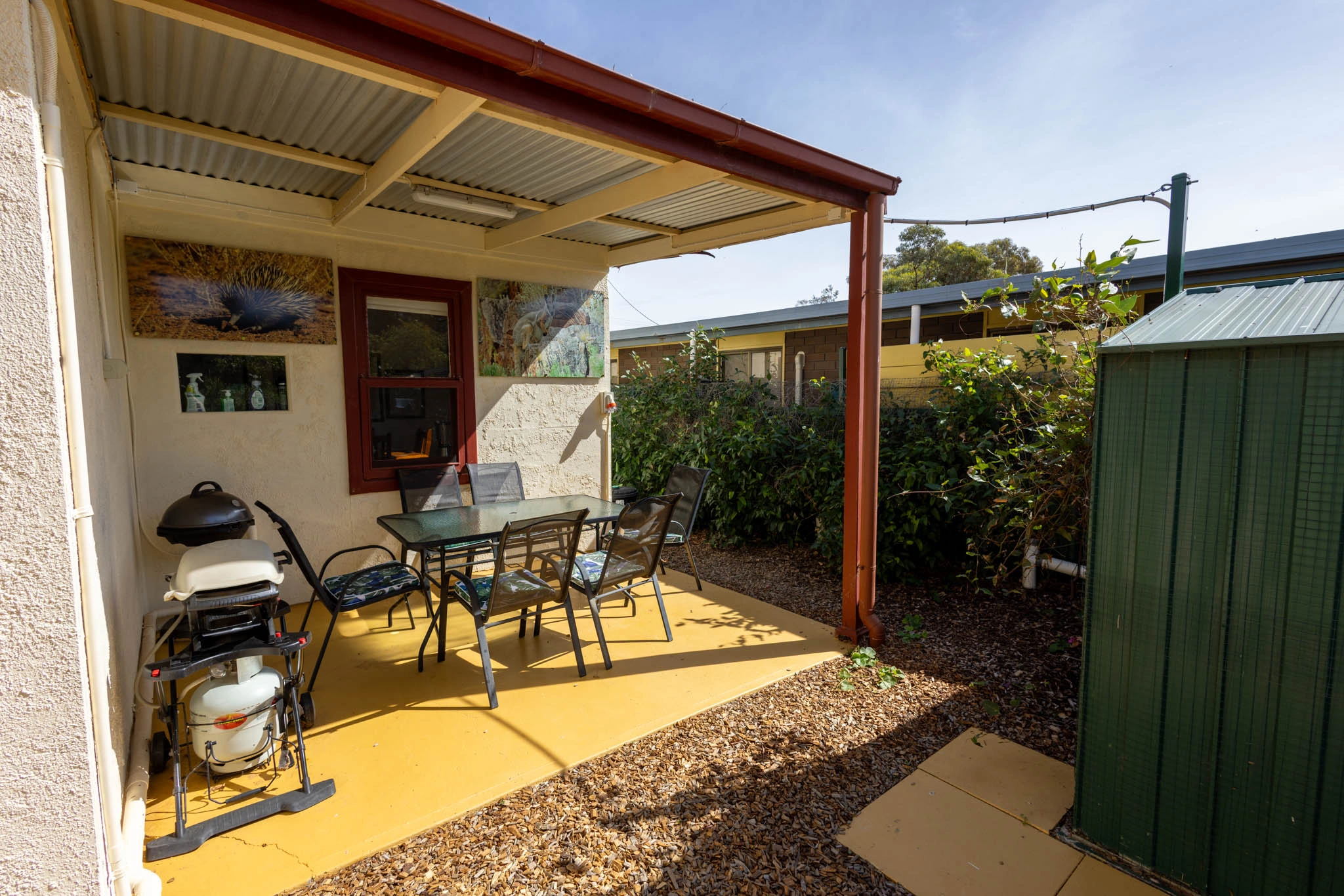 Rear Yard 1.jpg
