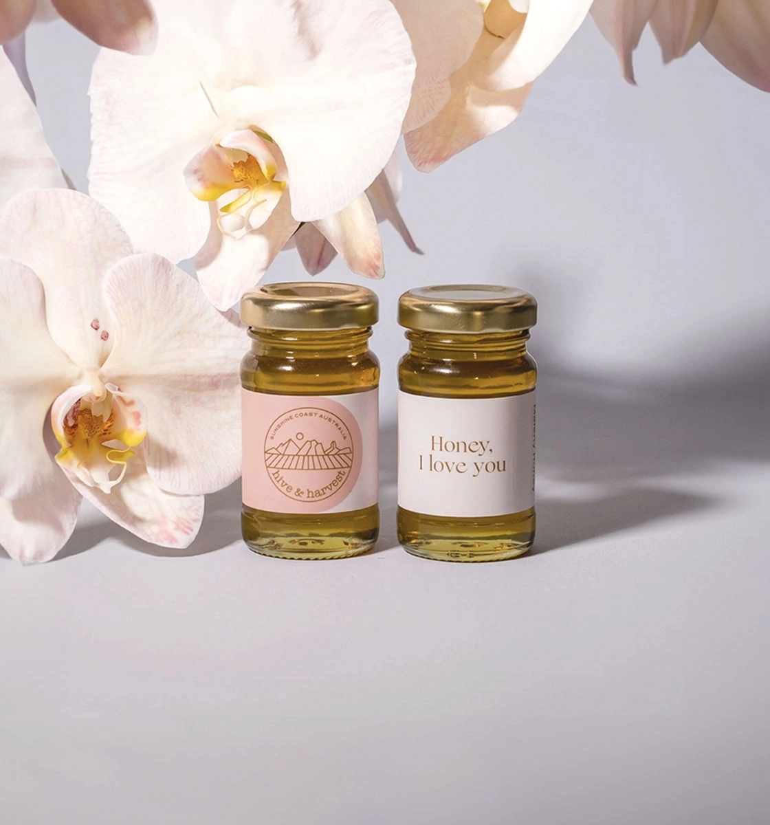 23D_SOCIAL MEDIA POST#TBA.jpg