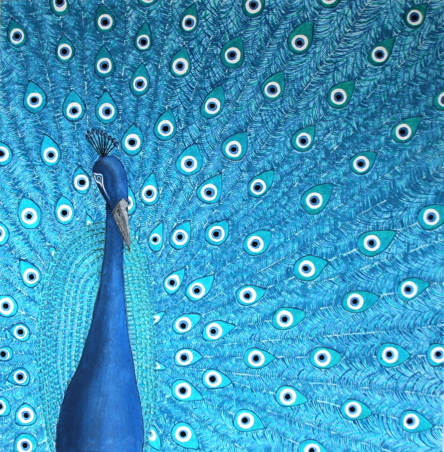 Peacock Plumes.JPG