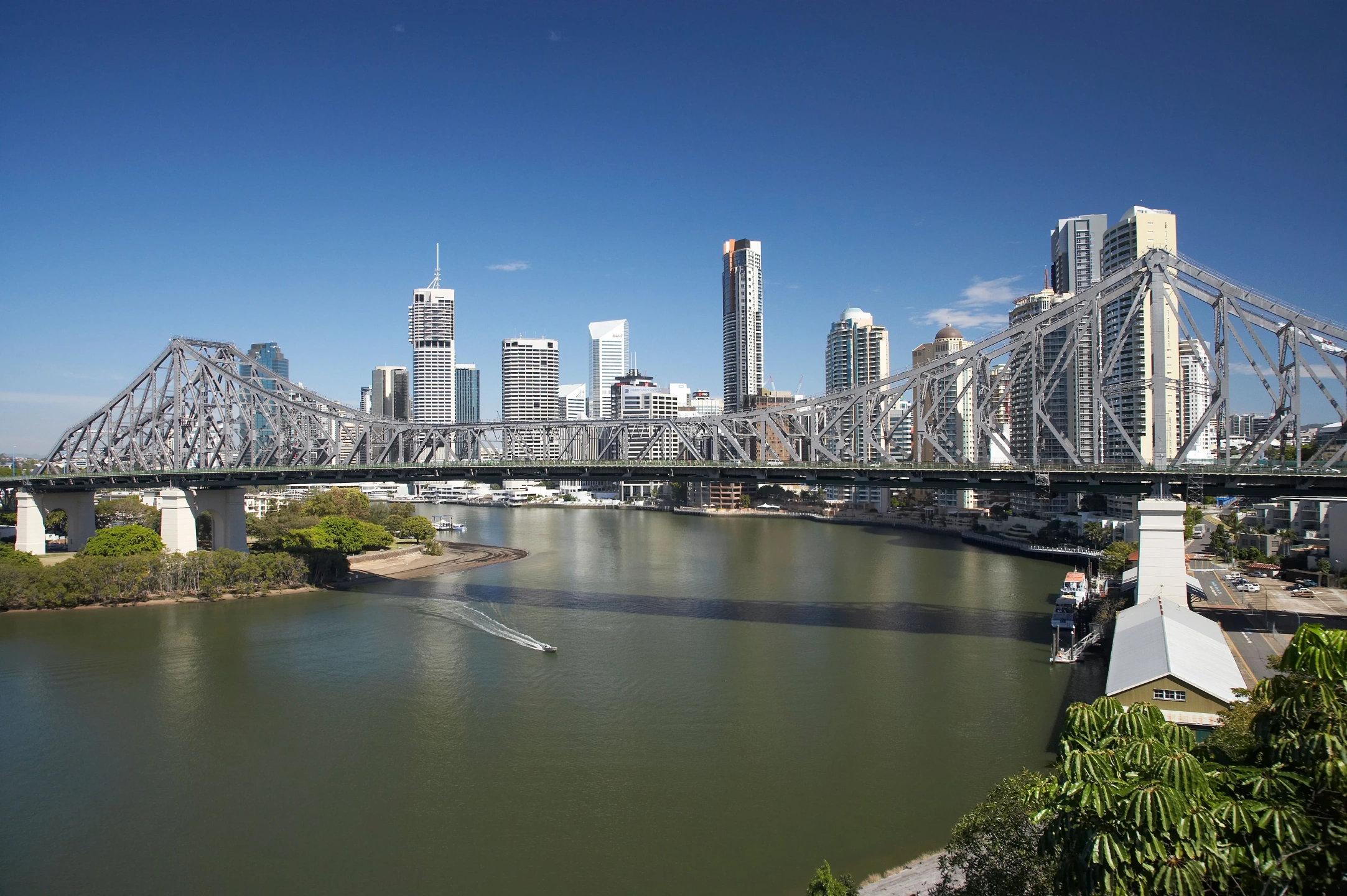 Expert Chiropractic Care in Brisbane