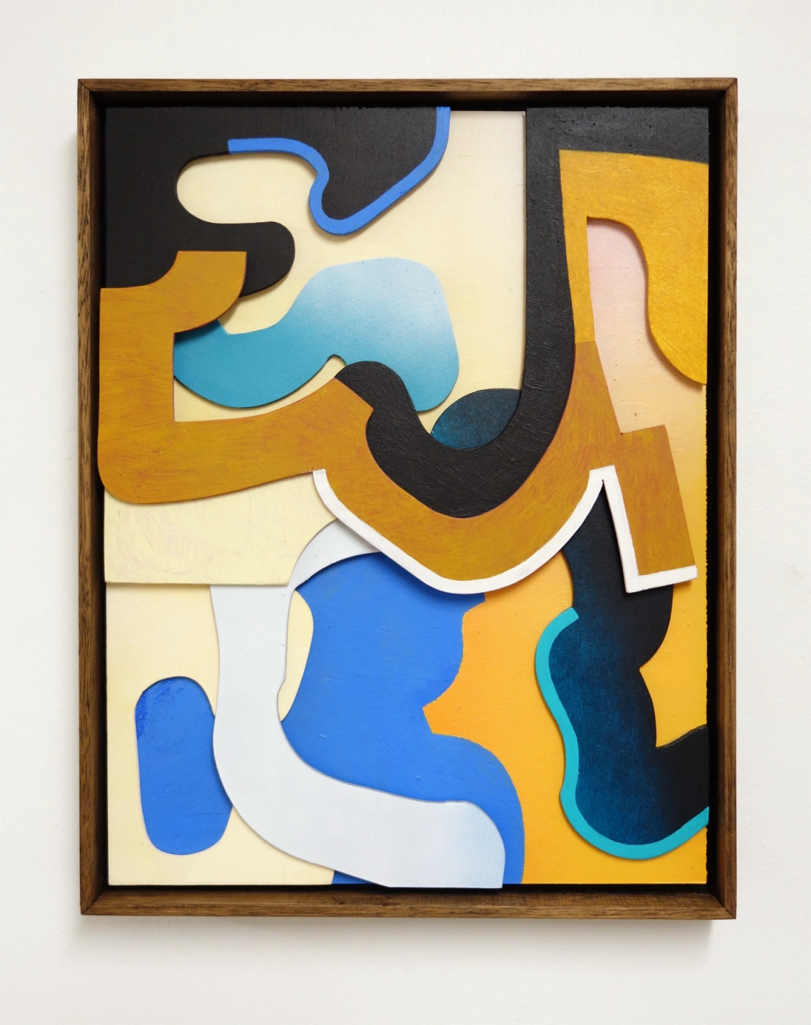 Donaldson Cryptic Era 01.jpg