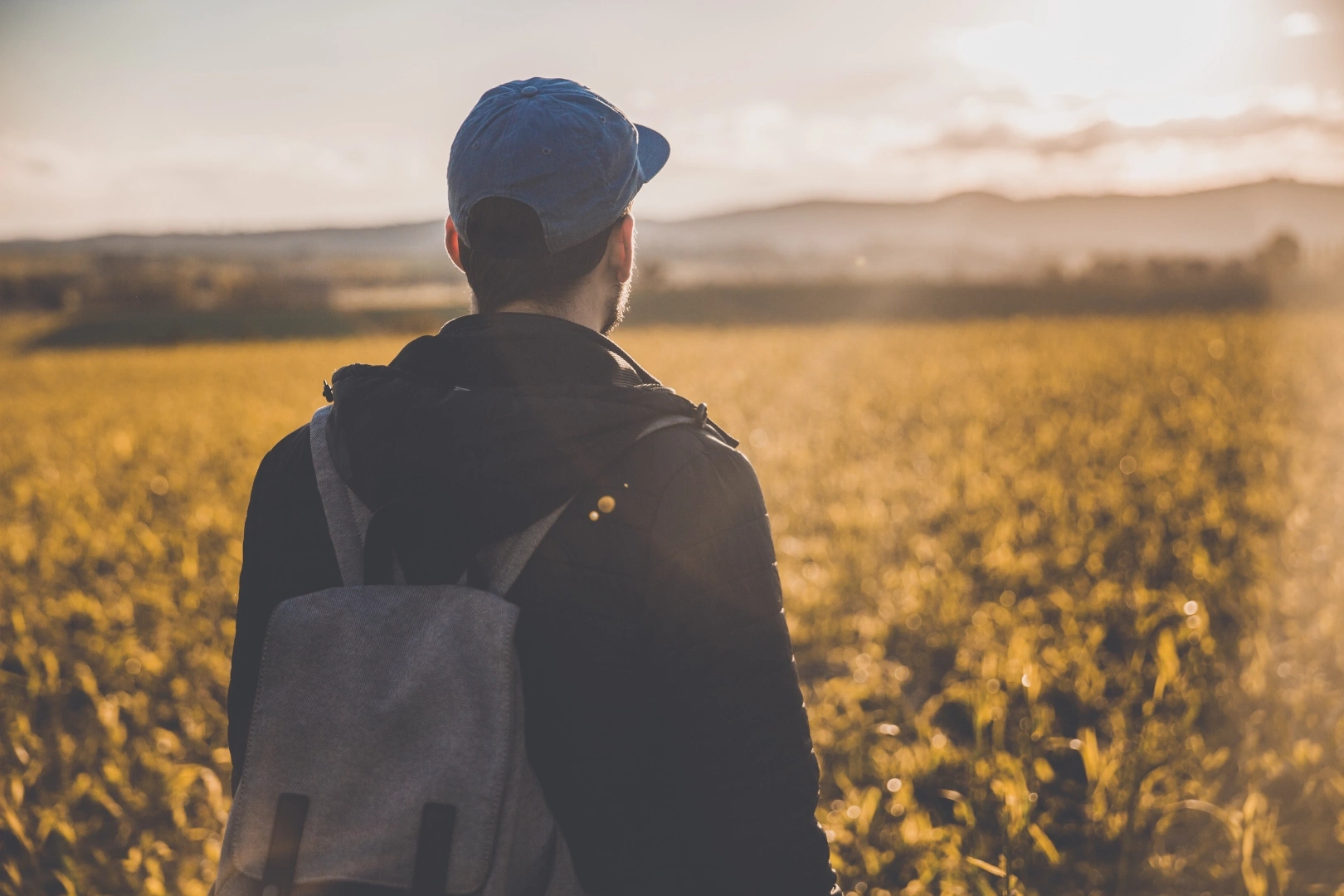 Field Of Back.webp