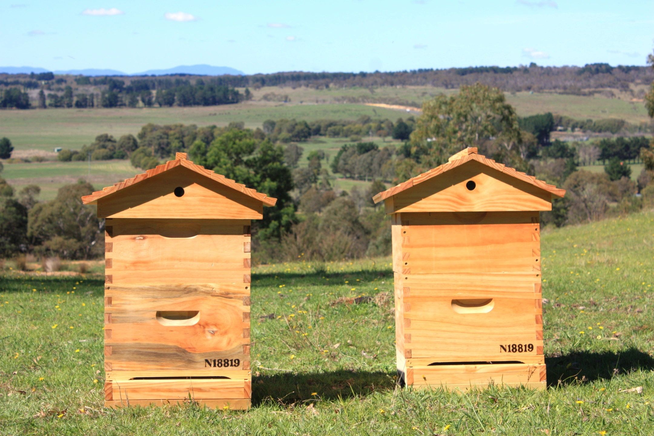 dam and clyde hive.JPG
