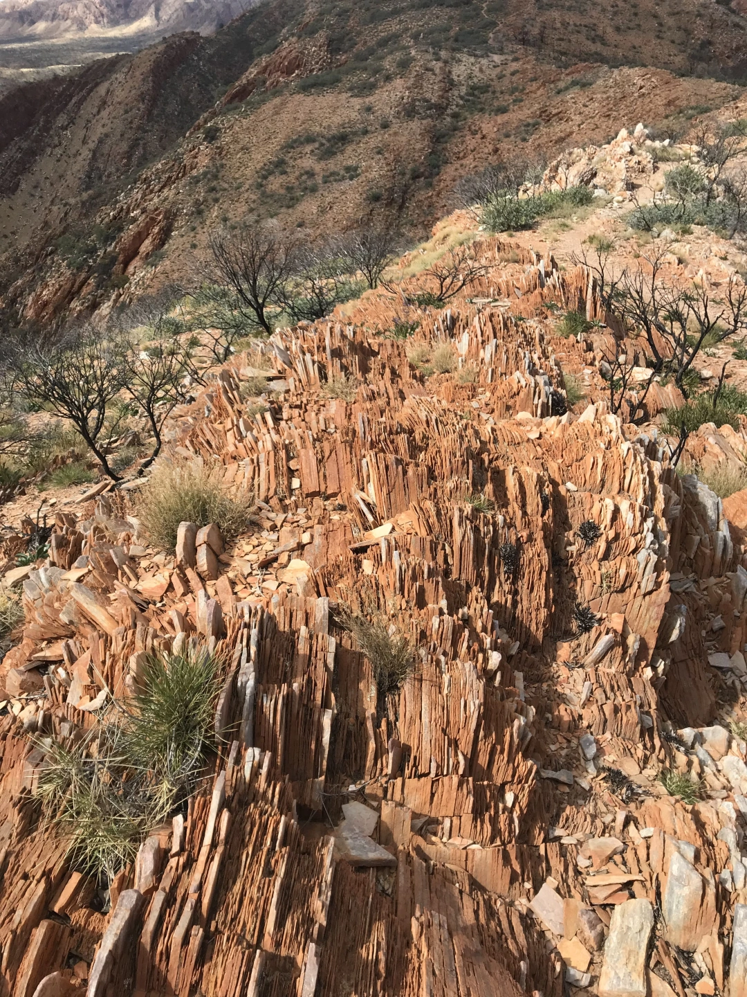 virtical shale geology (2) (1).jpg