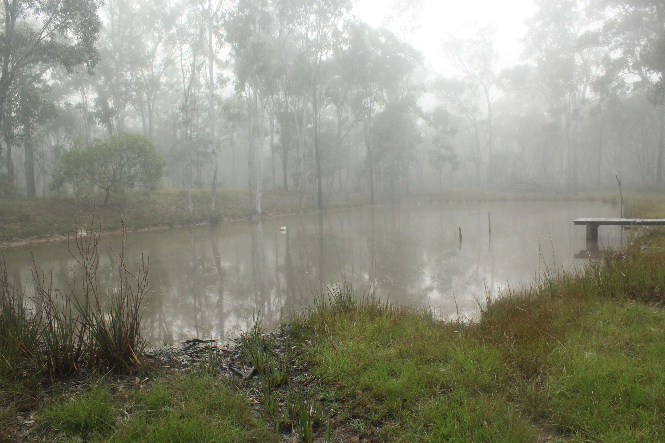 Misty Dam 1.jpg