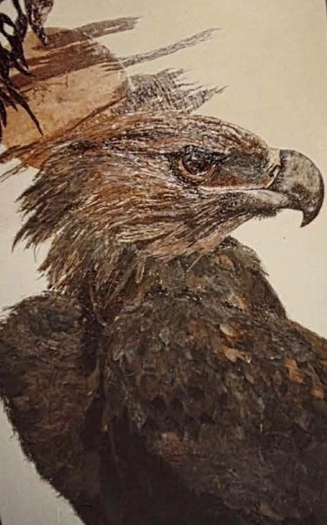 Bark Painting CROP.JPG