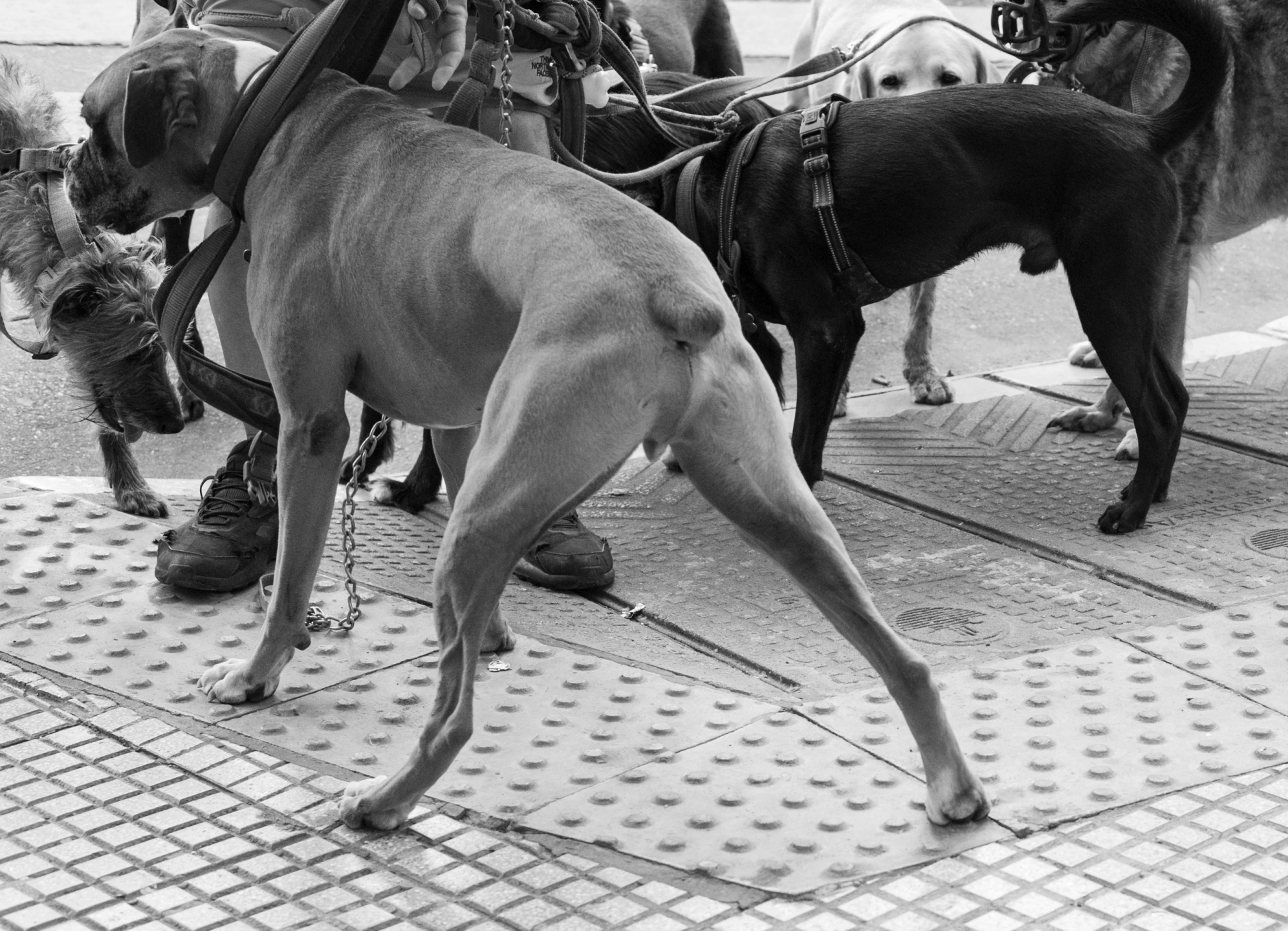 Last day wanderings-50.jpg