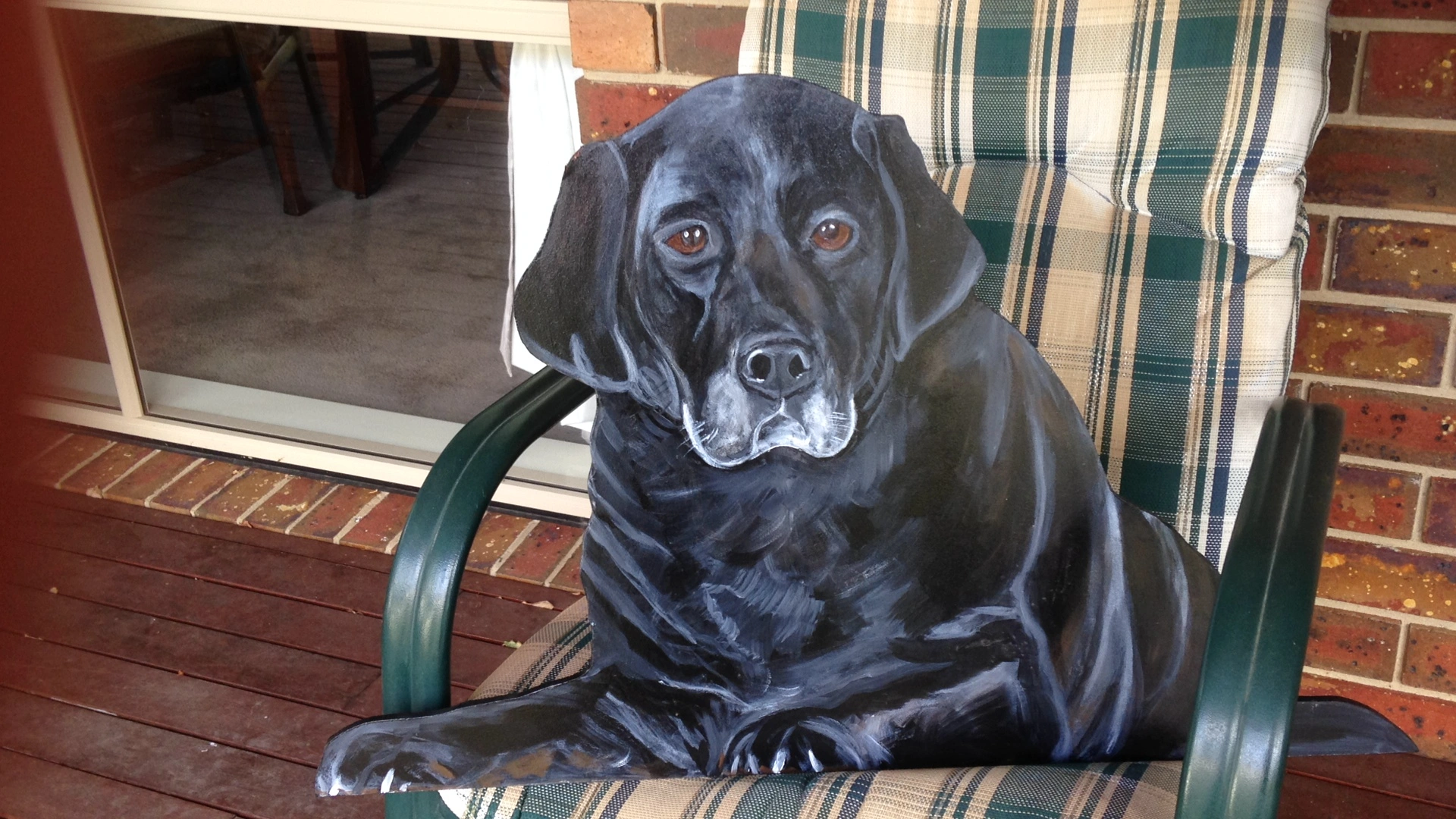 Old Black Labrador.JPG
