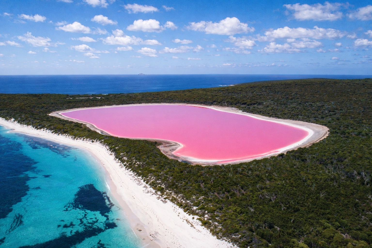 ChatGPT Image Feb 28, 2026, 04_57_09 PM.png